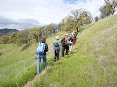 Hikers on the trail
