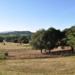 sonoma landscape