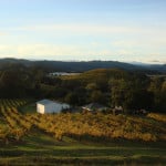 Asti Winery