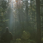 Man in forest