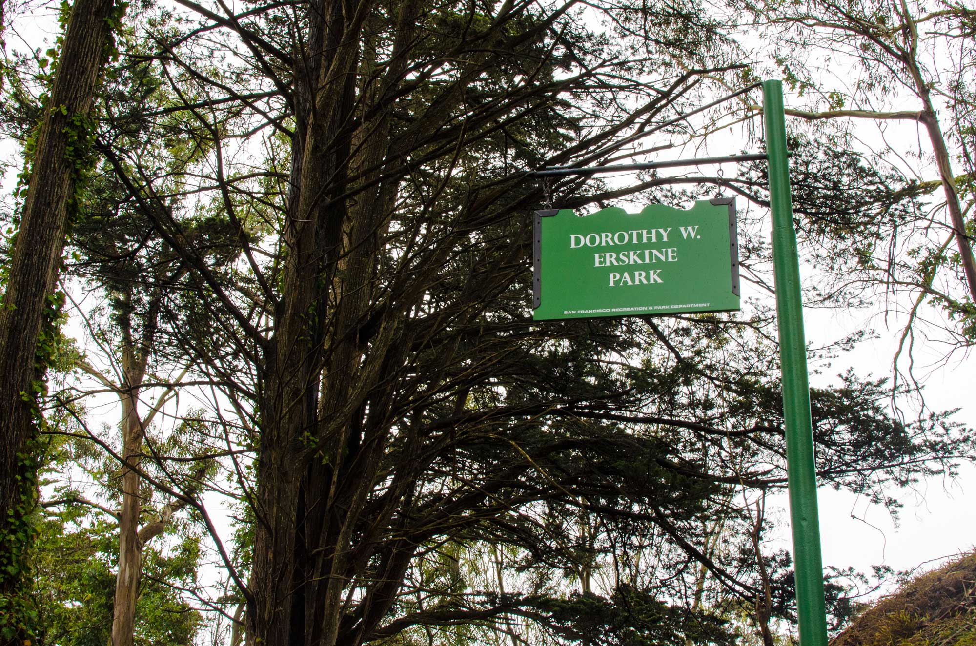 Dorothy W. Erskine Park