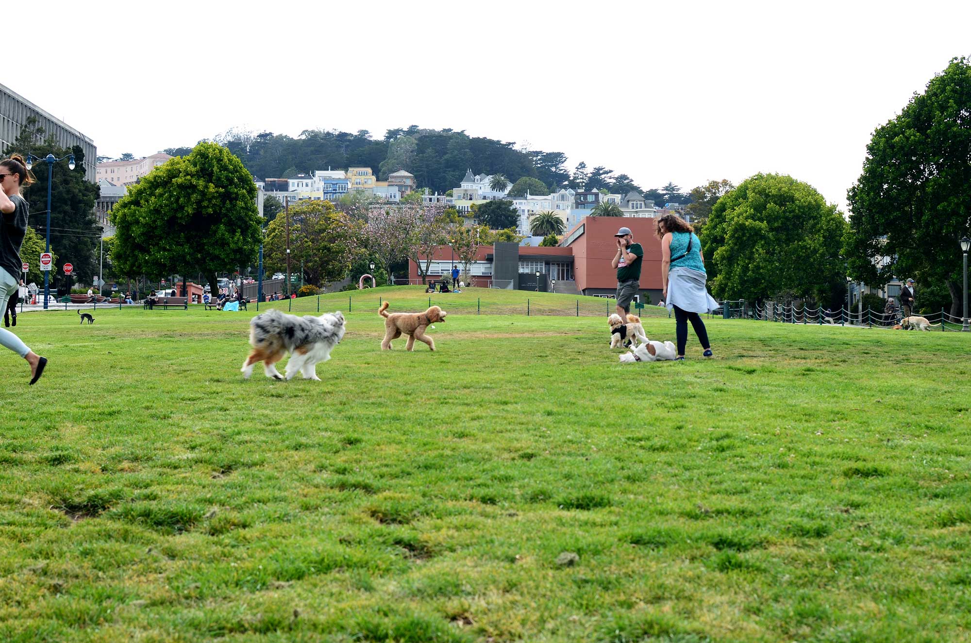 Duboce Park