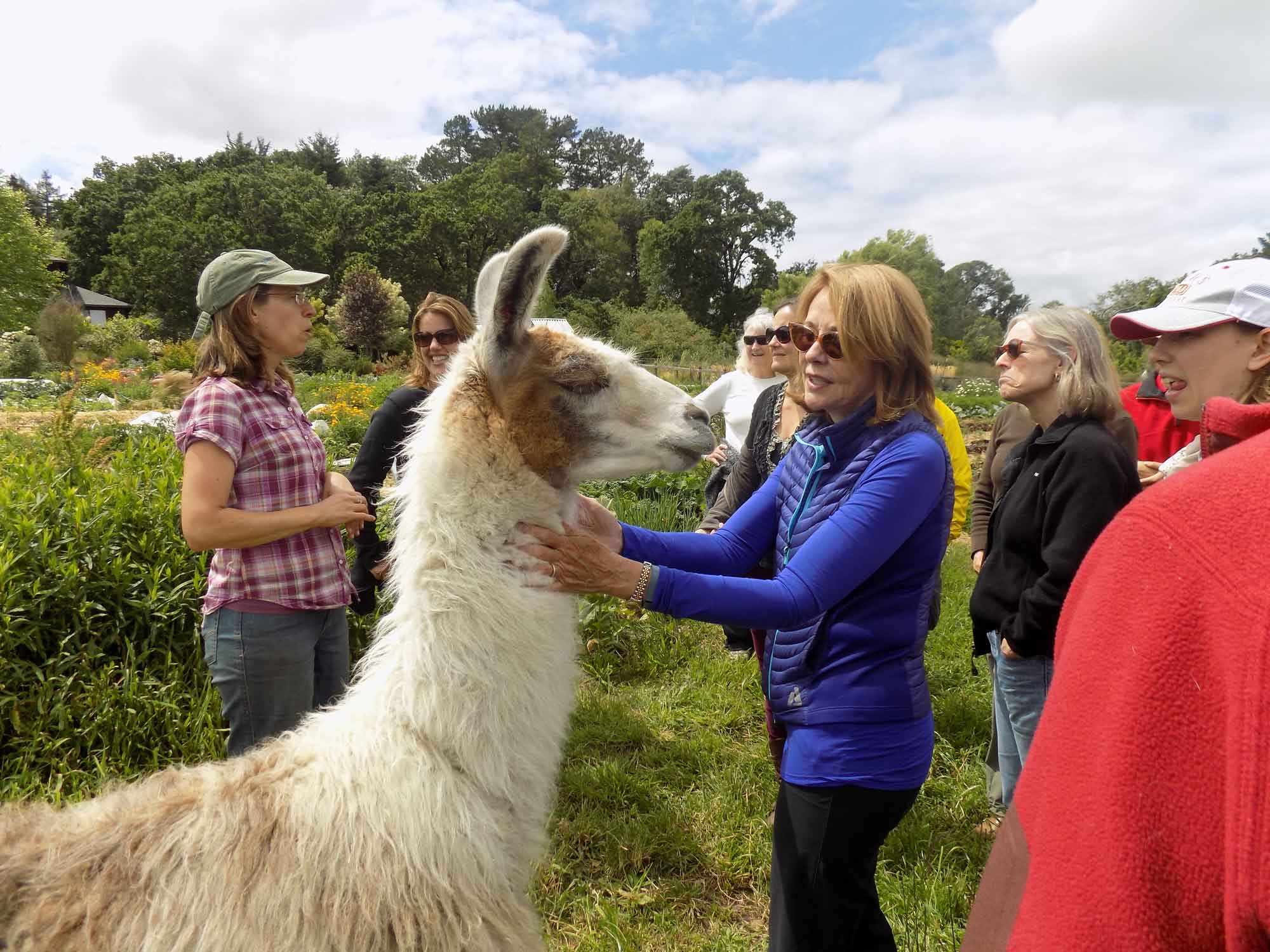 Lynne and Charlie the Llama