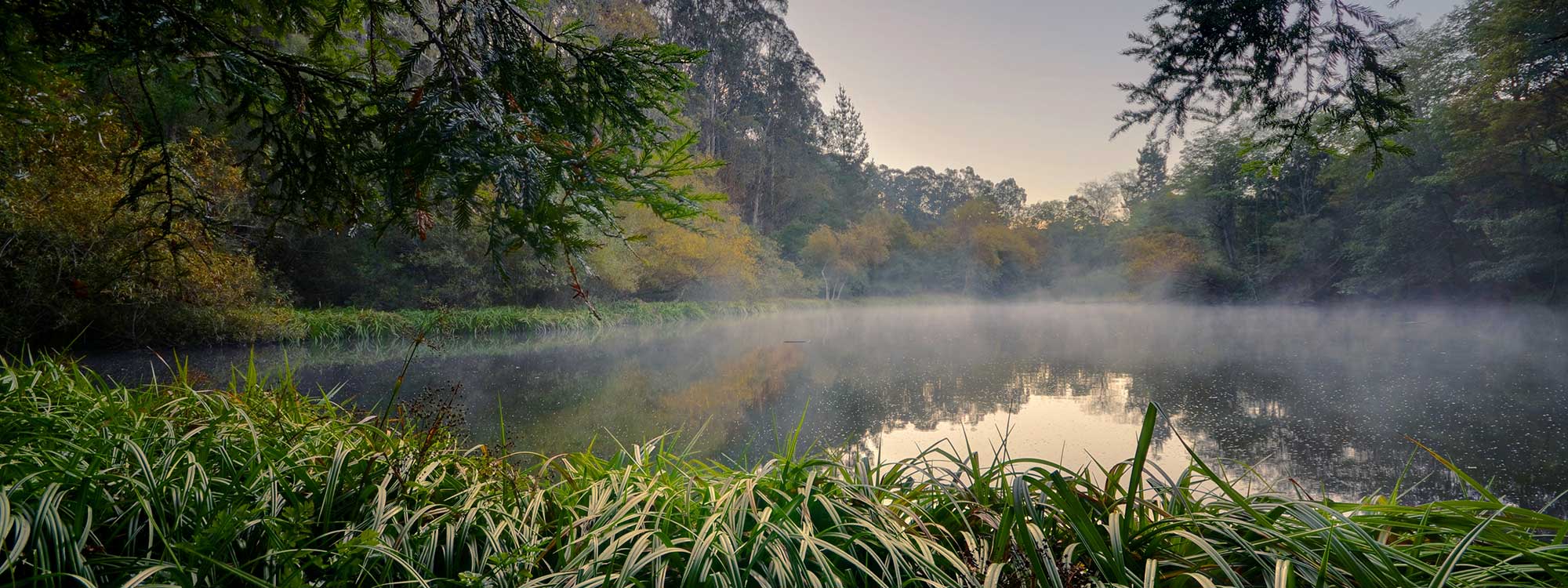 Measure FF helps the East Bay Regional Park District maintain Bay Area treasures like Tilden Regional Park