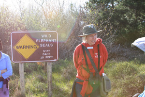 Patti will keep you safe from the elephant seals