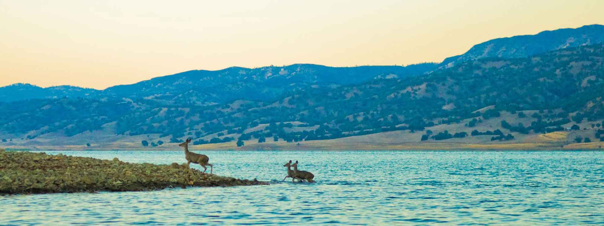 Lake Berryessa