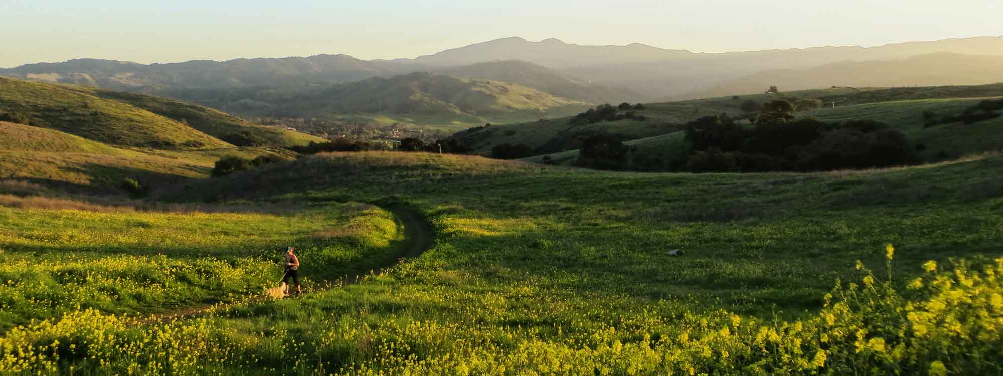 Santa Teresa County Park