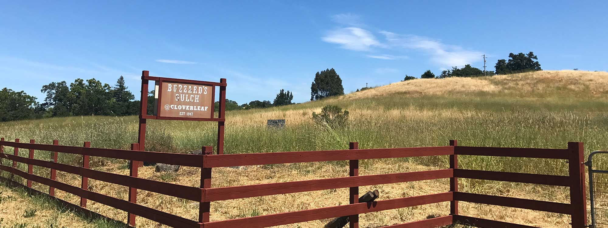 Sonoma Solstice threatens greenbelt lands at the site of the old Buzzard's Gulch.