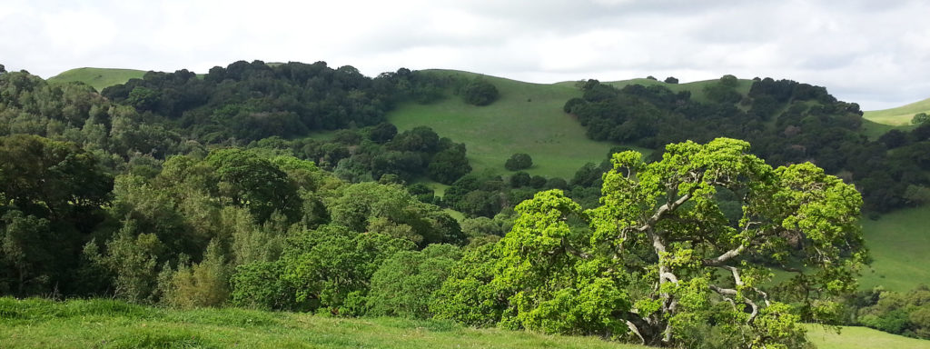 Fernandez-Ranch-Greenbelt-Alliance-Outing