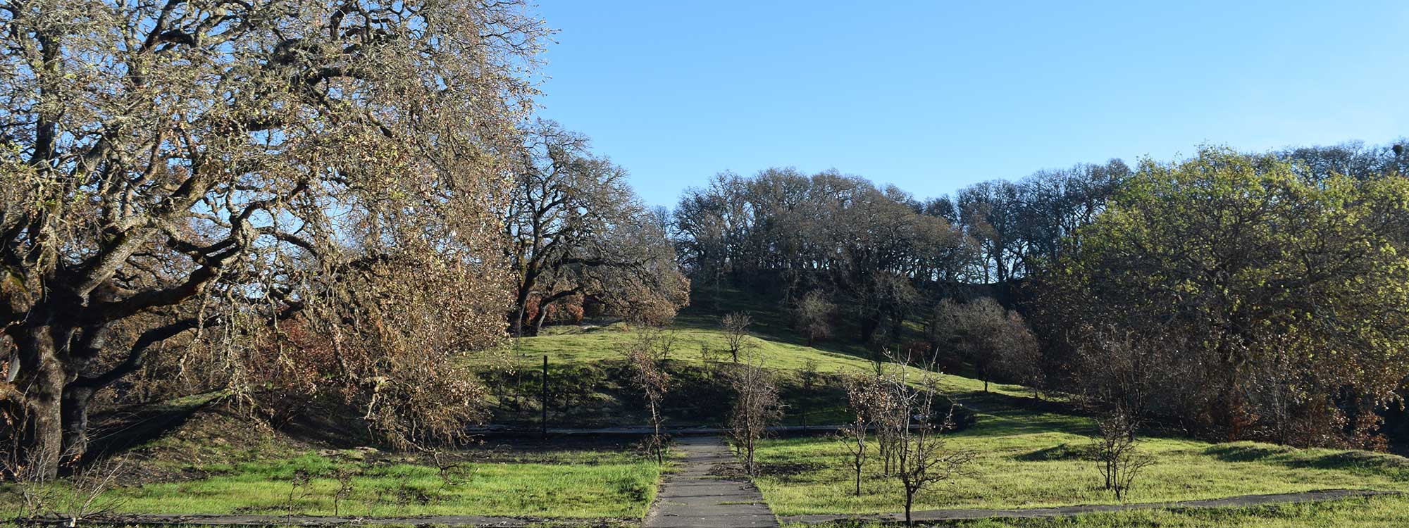 Measure M would provide needed funds for parks in Sonoma County