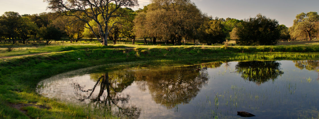 A view of Rockville Hills Regional Park