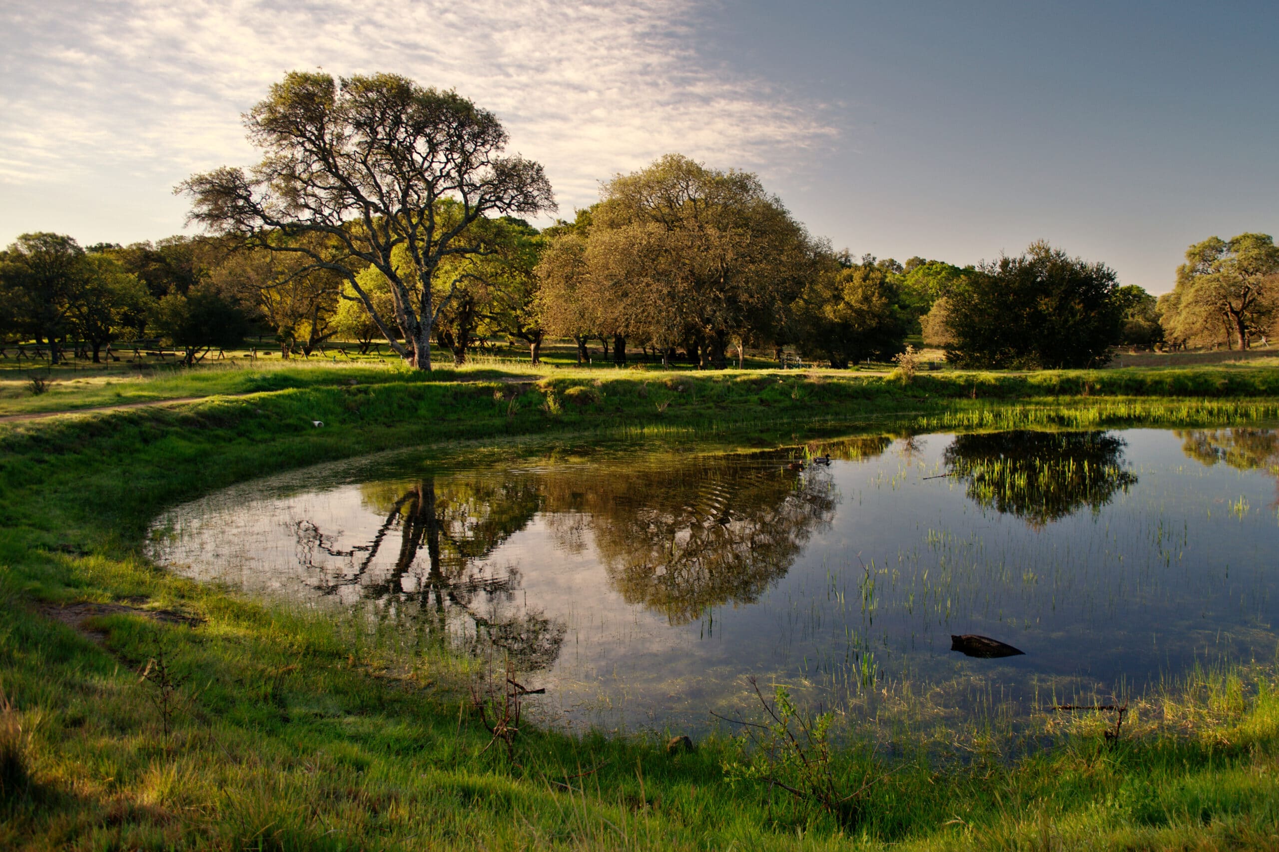 A view of Rockville Hills Regional Park