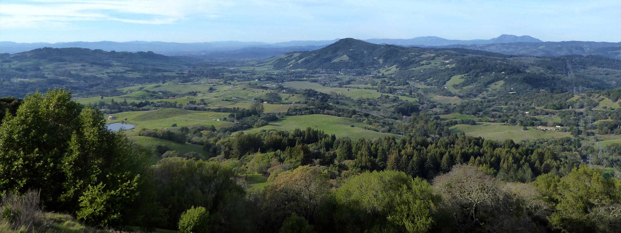 A view of Bennet Valley from Sonoma Mountain