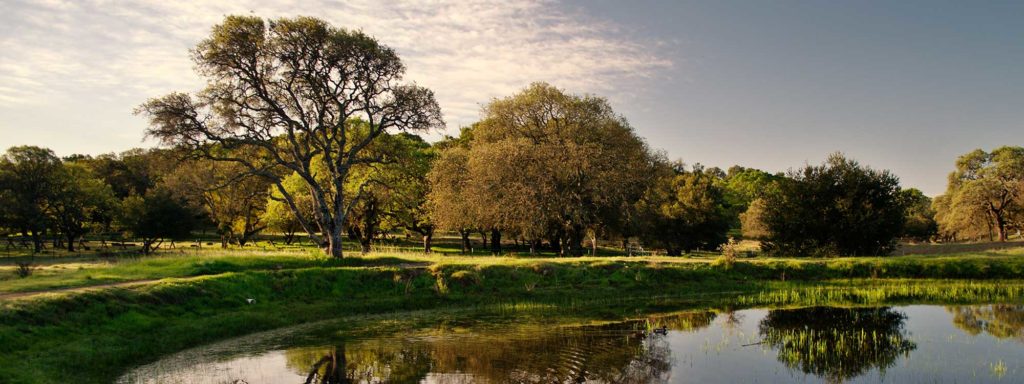 Rockville Hills is one of the many stunning open space areas we'll visit during our Solano County summer hiking series