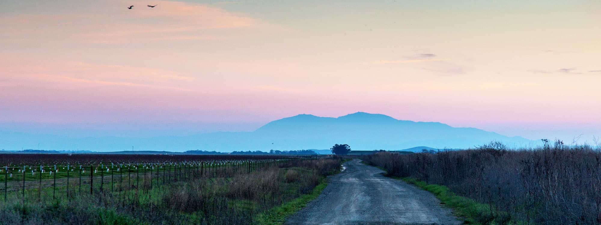 Solano County View of Mt Diablo