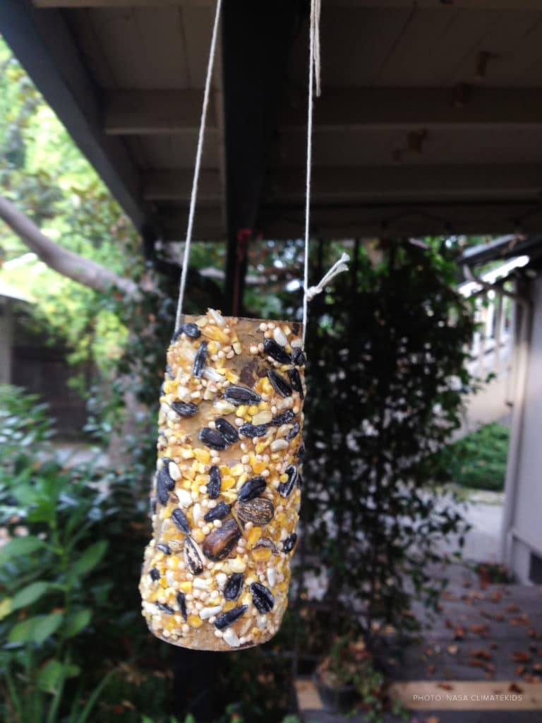 bird feeder