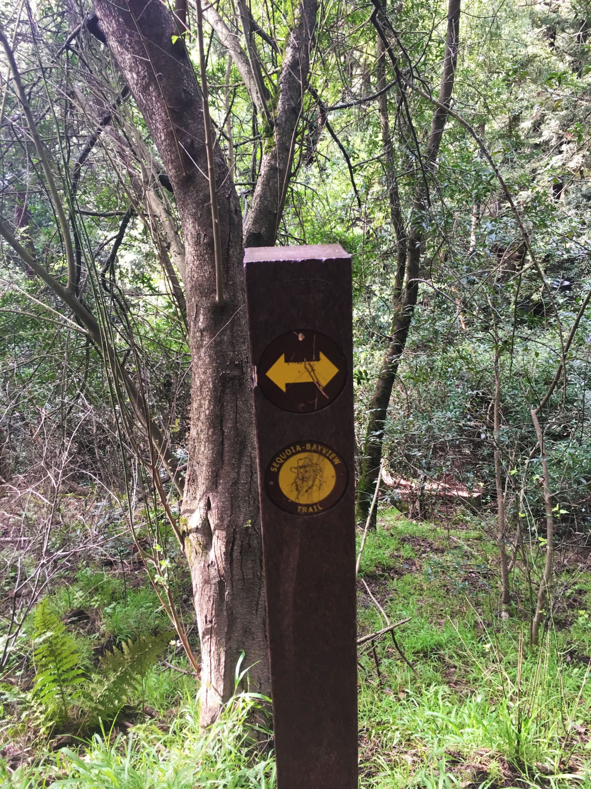 A Loop Around Joaquin Miller Park - Greenbelt Alliance