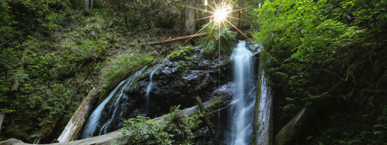 Russian Gulch State Park