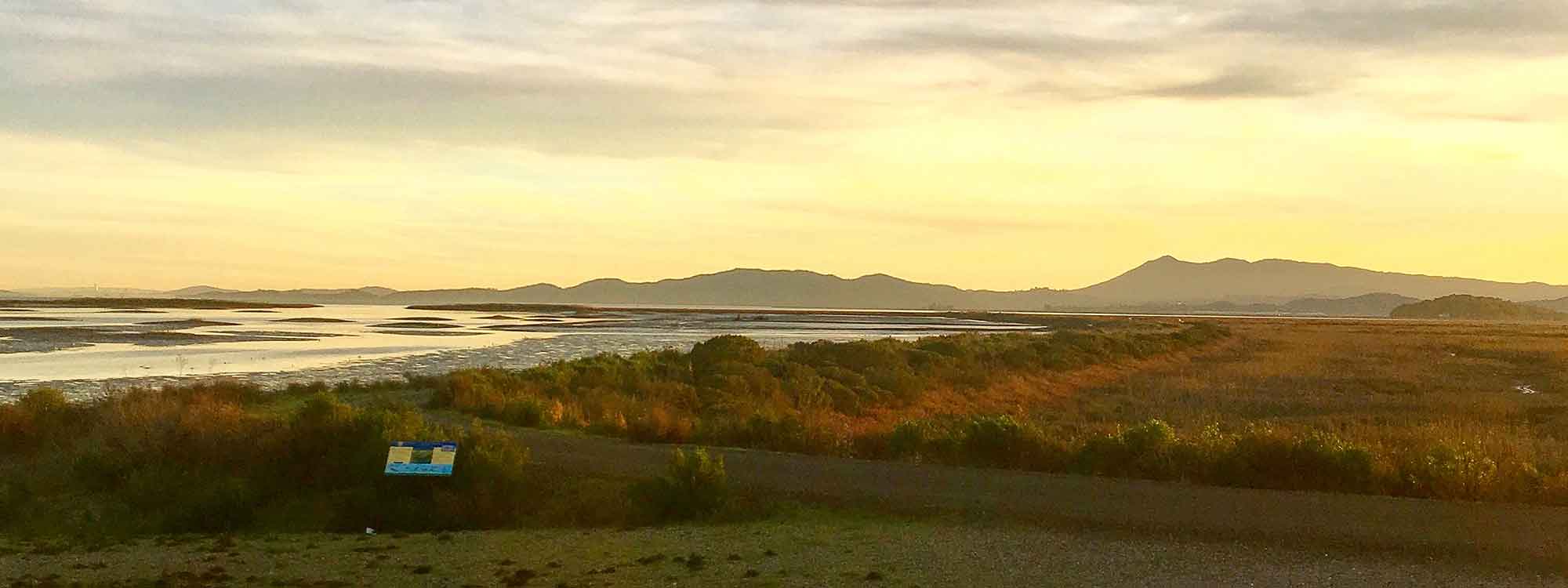 San Pablo Baylands