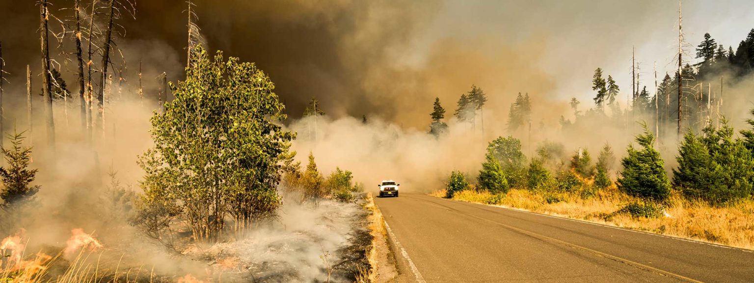 FireSafe Roads for Wildfire Resiliency Greenbelt Alliance
