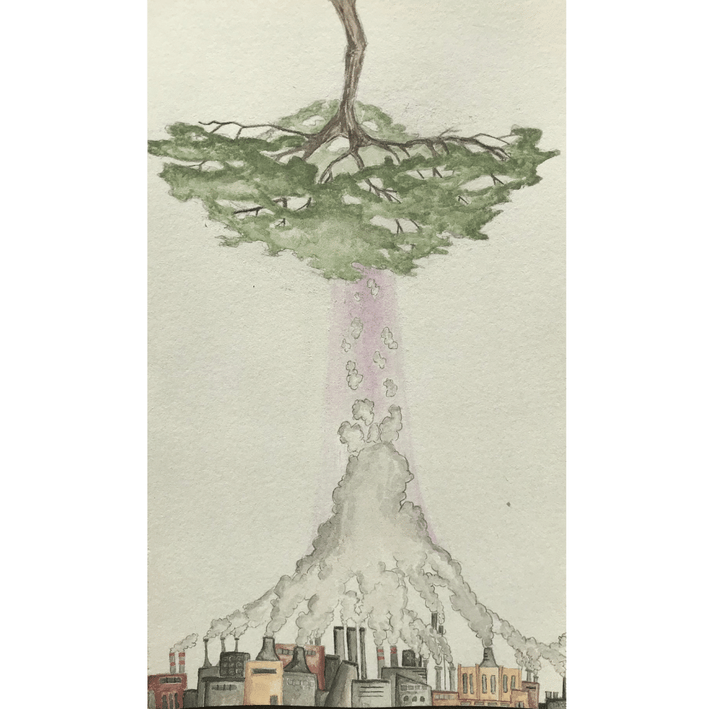 Trees Are Trying So Should We