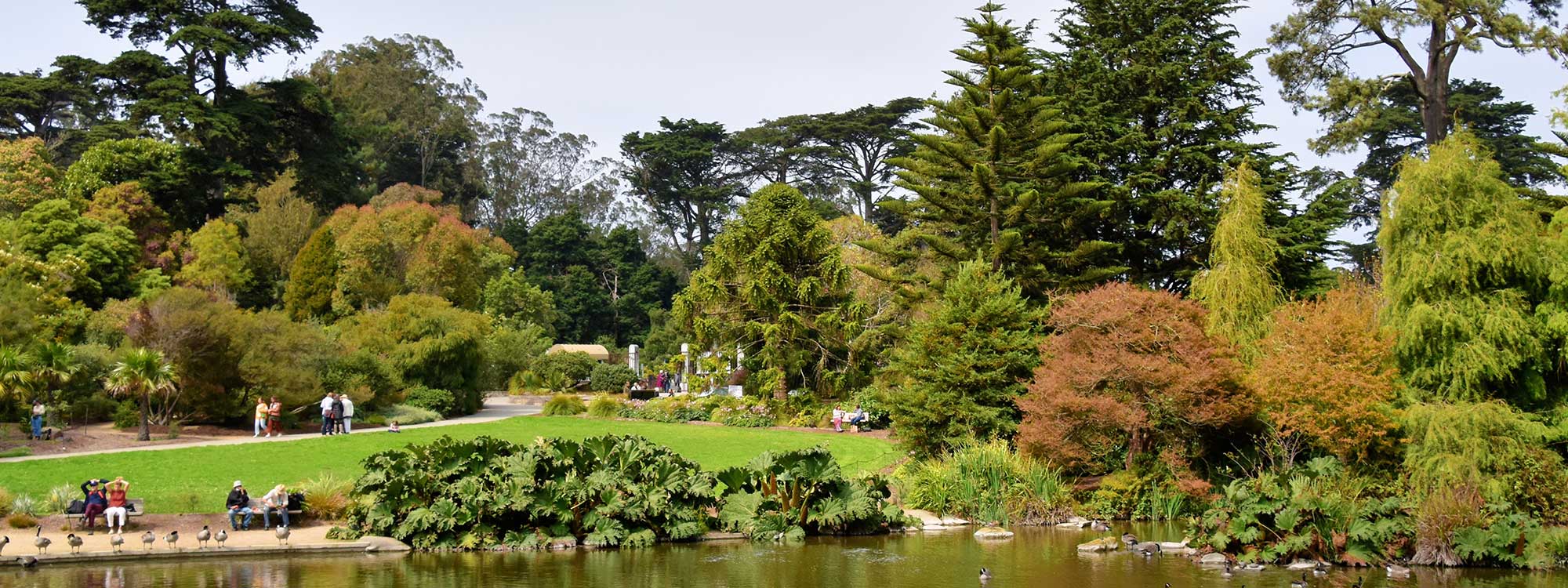 golden gate park by jeffrey eisen