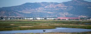 Suisun City by Karl Nielsen/Greenbelt Alliance