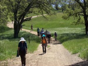 Greenbelt Alliance Outing in the Pleasanton Ridge, April 2012