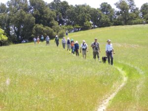 Greenbelt Alliance Outing in the Pleasanton Ridge, April 2012