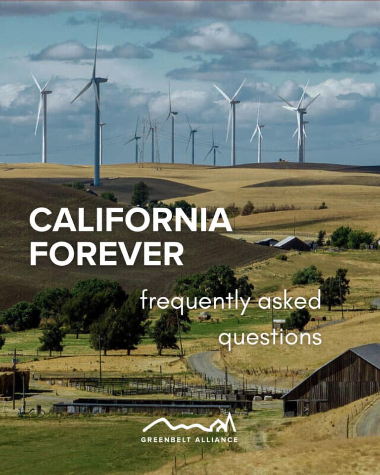 SOCIAL California Forever Flannery Solano County