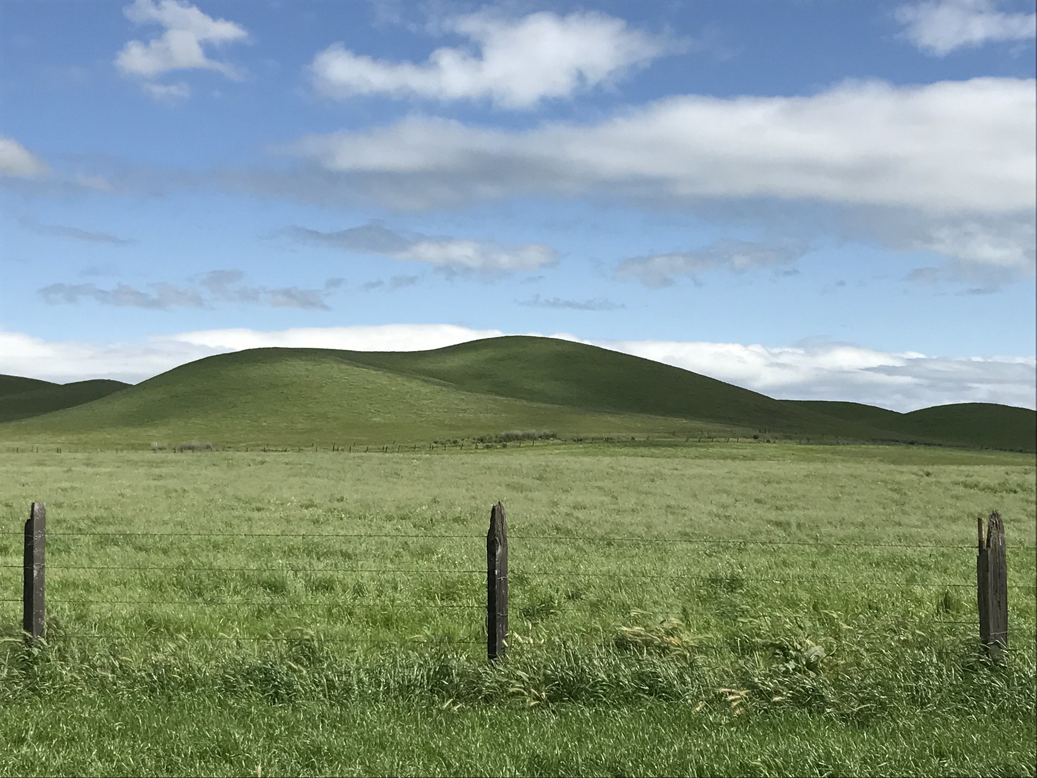 Protect Solano From Sprawl Greenbelt Alliance