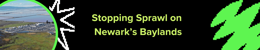 Stopping Sprawl on Newark's Baylands
