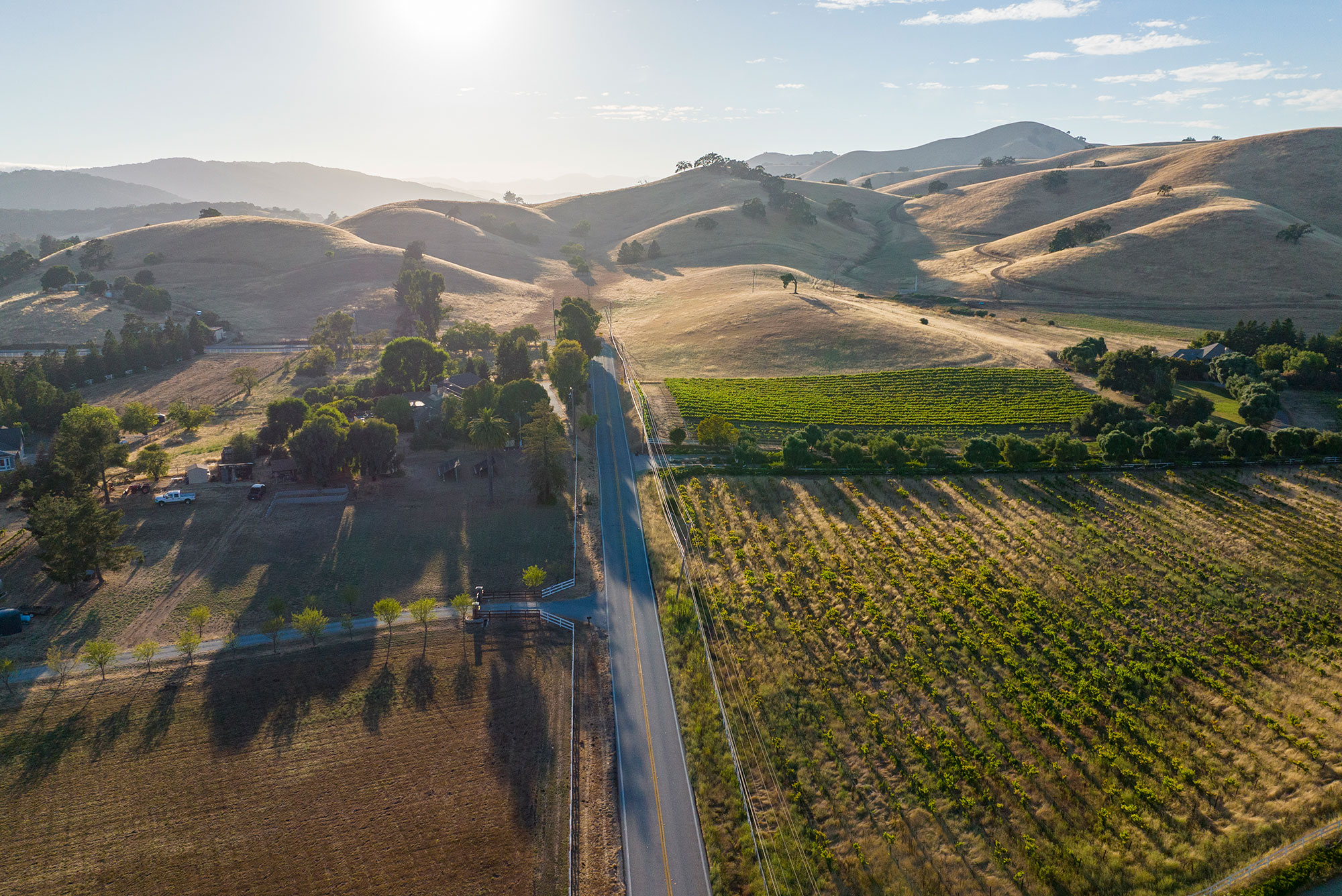 Gilroy Horizon